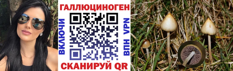 Псилоцибиновые грибы GOLDEN TEACHER  Ясный 