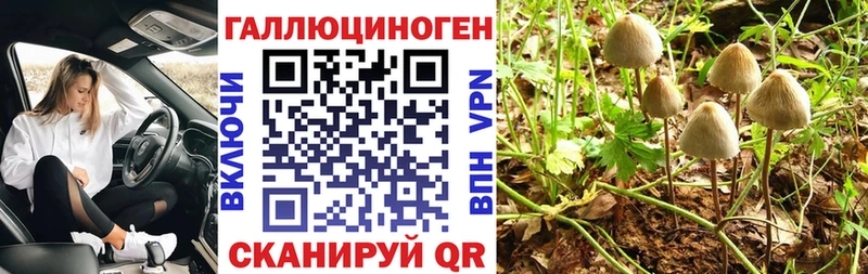 Псилоцибиновые грибы Psilocybine cubensis Ясный