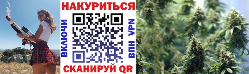 Бошки Шишки планчик  купить   ОМГ ОМГ ссылка  Ясный 